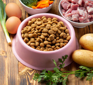 comida-humeda-para-perros